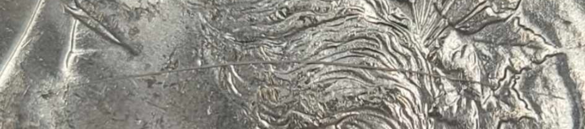 1886-$1-Morgan-Dollar-#16